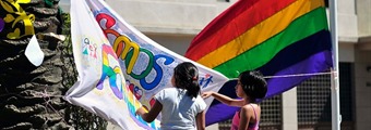Familia homoparental y Movilh presentaron recurso por dichos homofóbicos de parlamentarios UDI