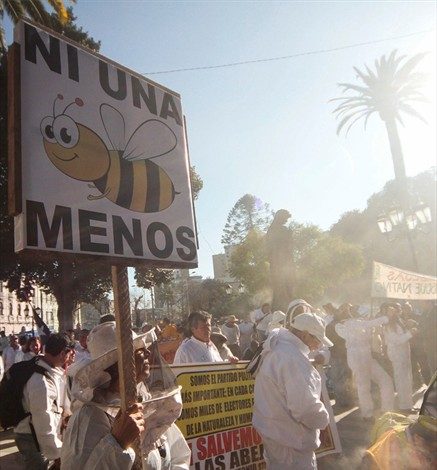 Sharon Rodríguez de Fraunhofer Chile: “En Chile existe un alto número de abejas nativas”