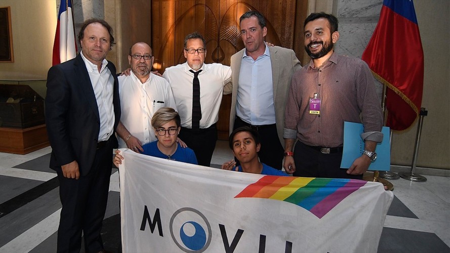 Senado aprobó idea de legislar matrimonio igualitario y tramitación continuará en marzo