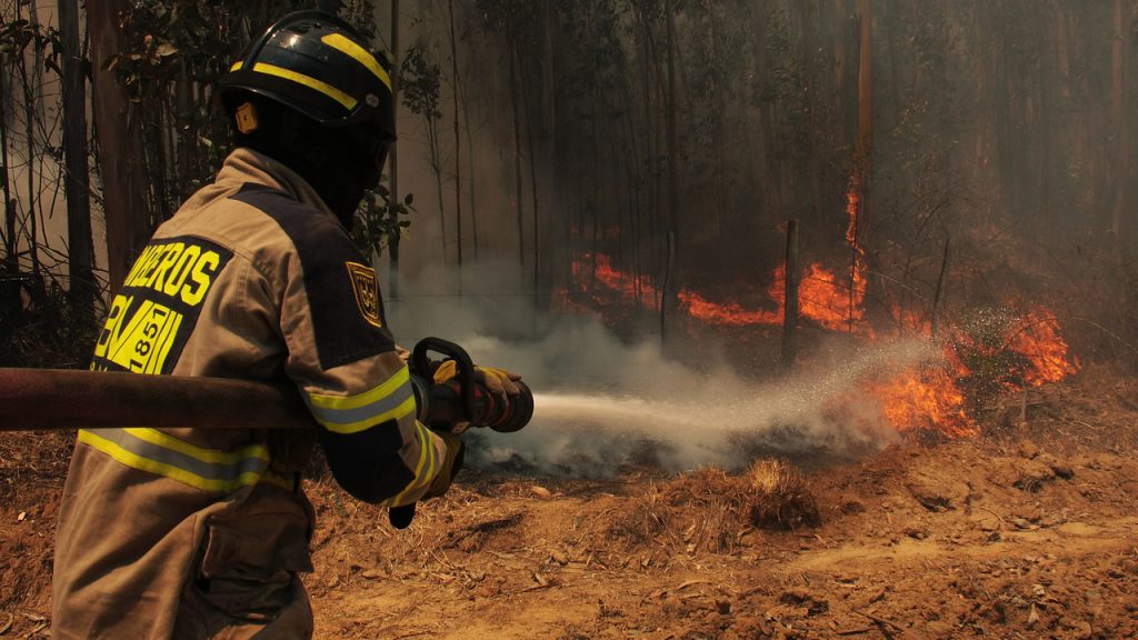 Incendio forestal que afecta al Parque Nacional Radal Siete Tazas lleva cuatro mil hectáreas consumidas