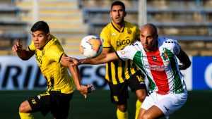 Palestino luchó pero quedó eliminado de la Copa Libertadores