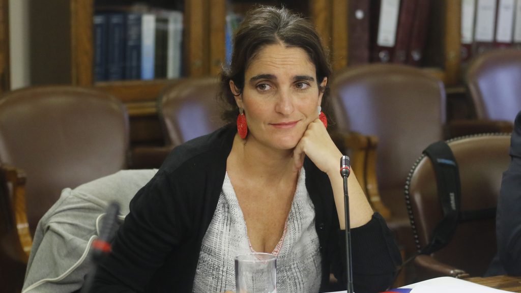 Ministra del Trabajo por ley de protección del empleo: "Las empresas tienen que demostrar que se encuentran afectadas"