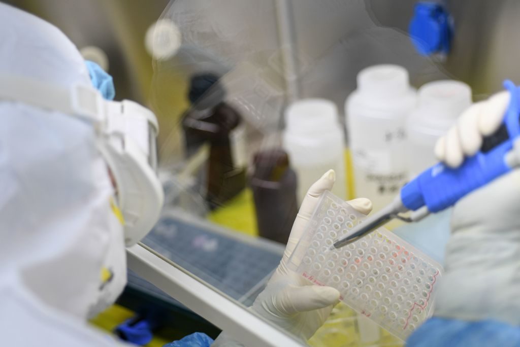 Grupo de científicos de Argentina logra descifrar el genoma del coronavirus local