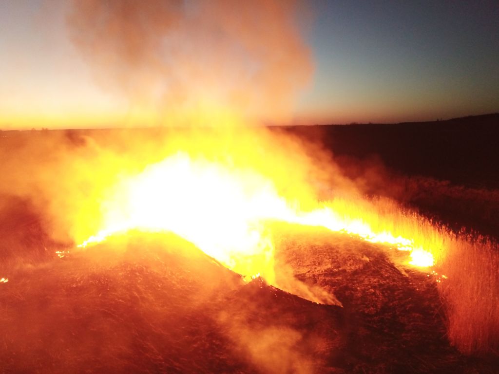 Uno de los focos del incendio forestal que afecta a la zona de Chernóbil