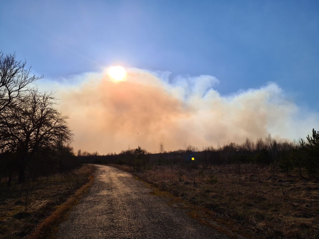 El fuego consume los bosques cercanos a la accidentada central nuclear de Chernóbil