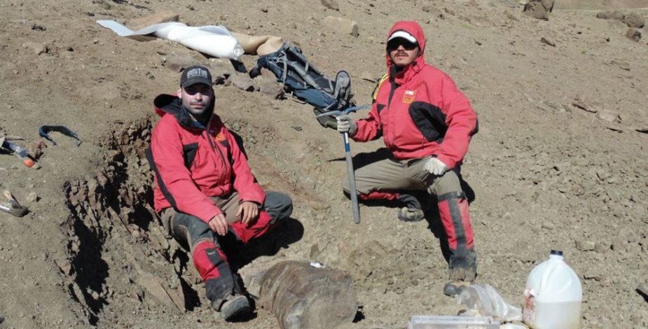 Científicos descubren fósil de tortuga de agua dulce que habitó en Chile hace 75 millones de años