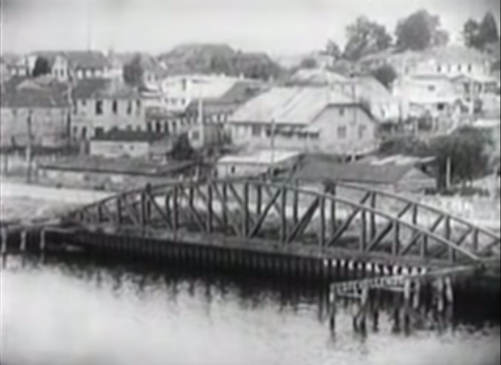 "Ciudadano a pata" recordó los 60 años del "Riñihuazo" que salvó a Valdivia de inundarse tras el terremoto