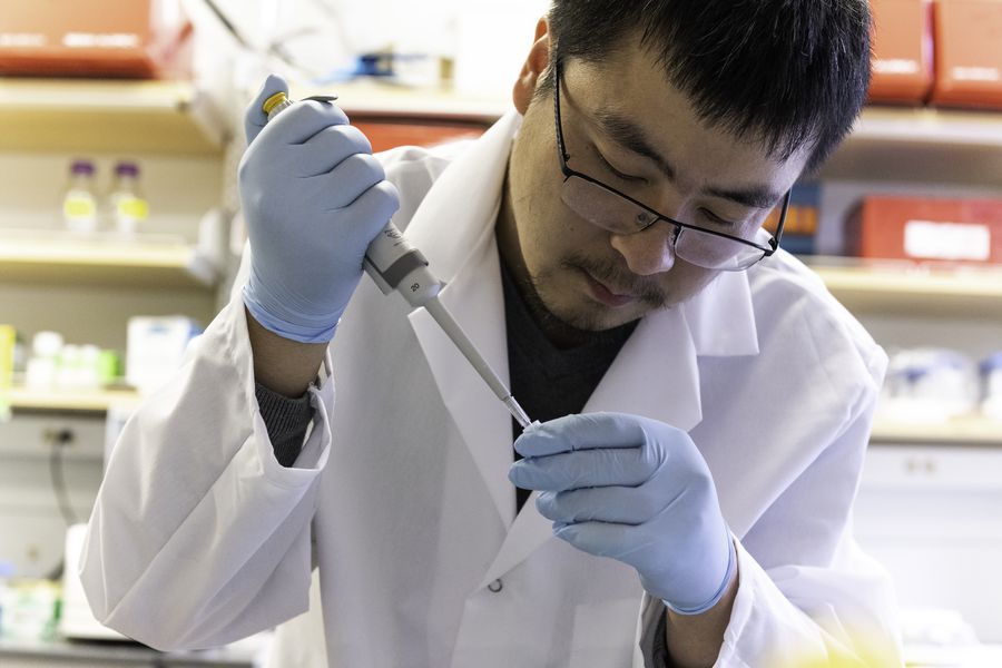 China promete que su vacuna contra el coronavirus será de "bien público mundial"