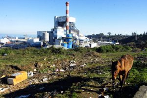 CNE autorizó a Enel adelantar desconexión final de la central termoeléctrica Bocamina I