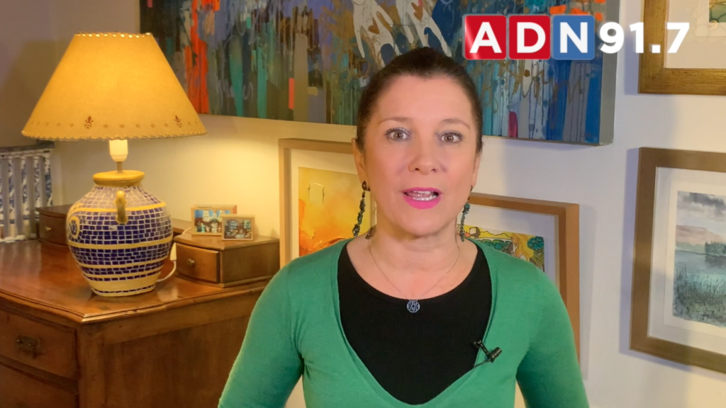 Mirna Schindler y retiro del 10% de las AFP: "Si el Gobierno quería evitar este escenario, debió ofrecer algo más que créditos blandos"