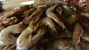 China suspendió importación de camarones ecuatorianos tras detectar Covid-19 en paquetes del producto