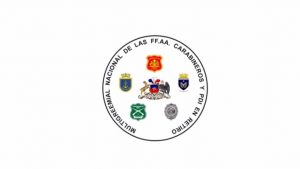 Fuerzas Armadas, Carabineros y PDI aclararon uso de logotipos institucionales en franja televisiva para el plebiscito