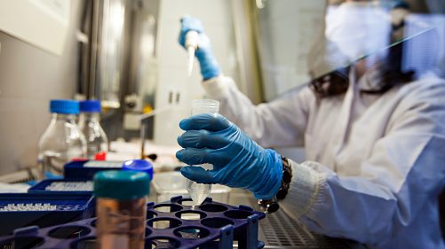 Virus mortal parecido al ébola reapareció en Bolivia generando inquietud en expertos