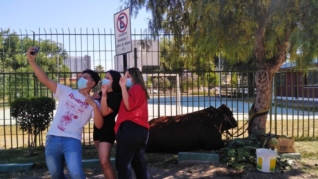 Selfie con el toro en Estación Central