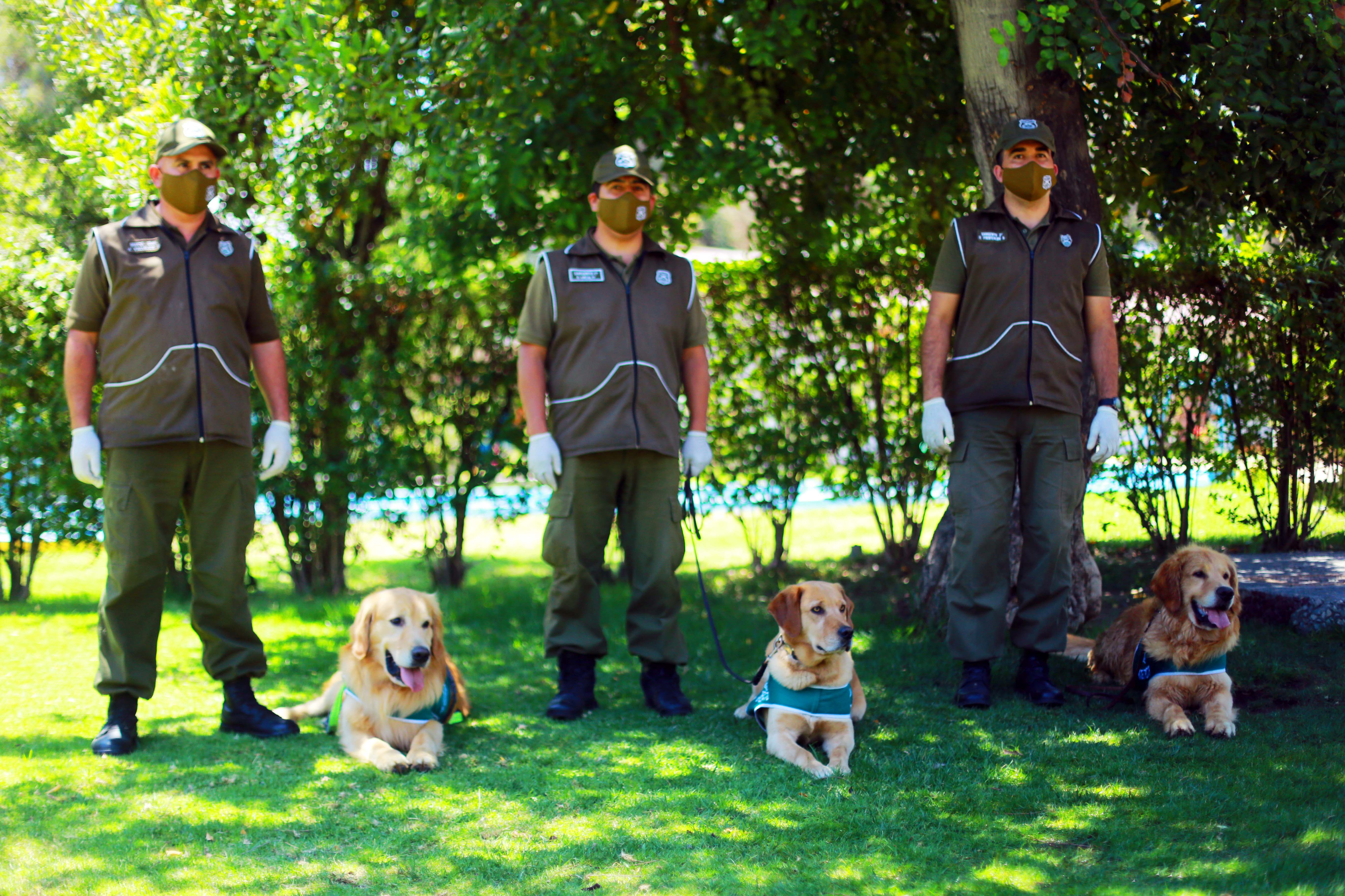 Perros biodetectores