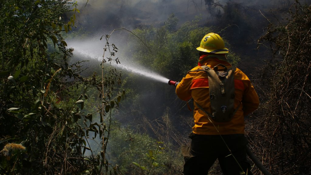 Biobío: Onemi decretó alerta roja tras incendio forestal en Tirúa