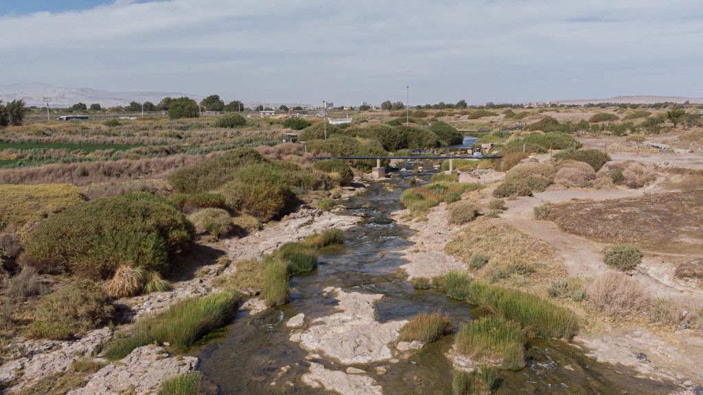 Puente Social - capítulo 9: El derecho al agua en la nueva Constitución