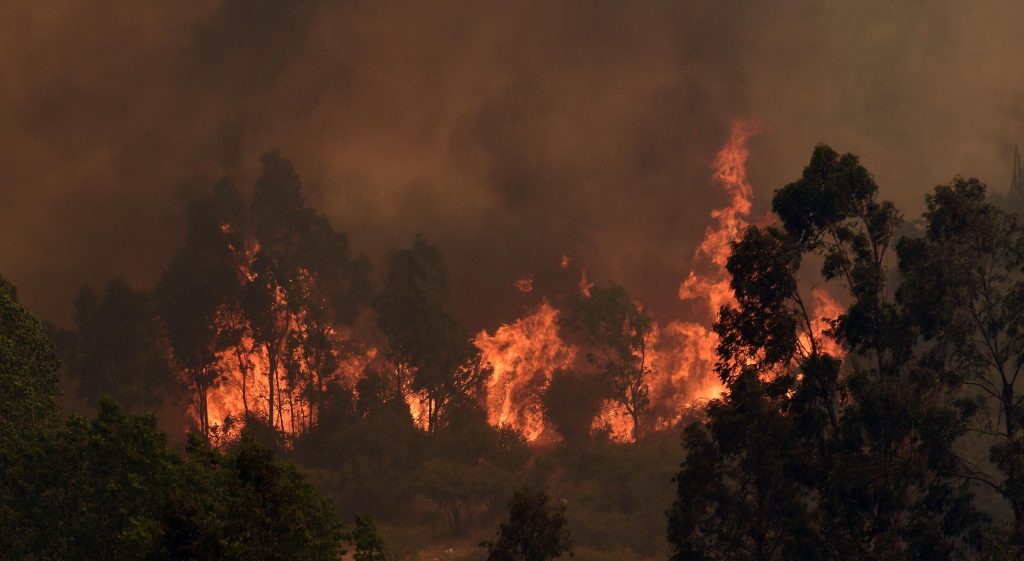 Presidente Piñera anunció querellas criminales contra quienes resulten responsables por incendios forestales en la Región de Valparaíso