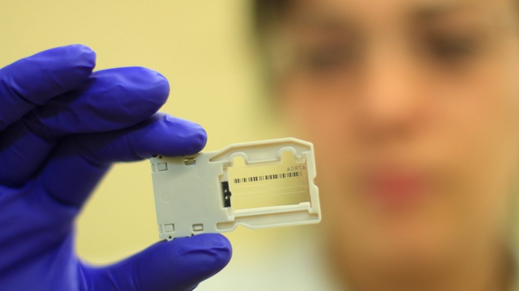 "Es conocer todas sus letras": Bióloga chilena explicó cómo se logró secuenciar el genoma de la variante británica del coronavirus