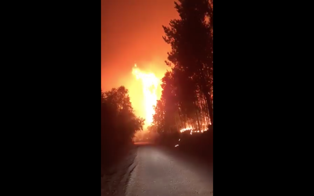 Al menos 12 viviendas fueron evacuadas en Nacimiento por incendio forestal: Onemi decretó alerta roja en la zona