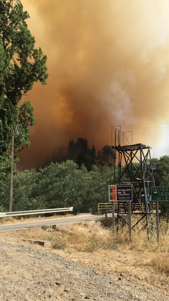 Incendio forestal en región de La Araucanía obliga a realizar evacuación preventiva