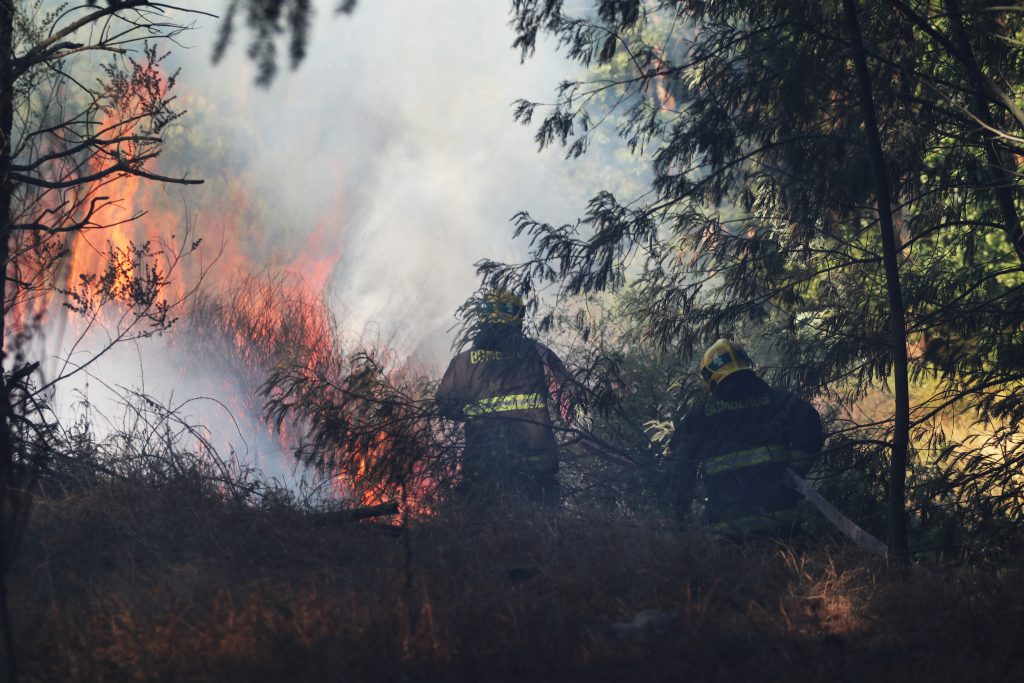 Alcalde de Curacaví confirmó que Carabineros detuvo a tres personas por incendio forestal en la comuna