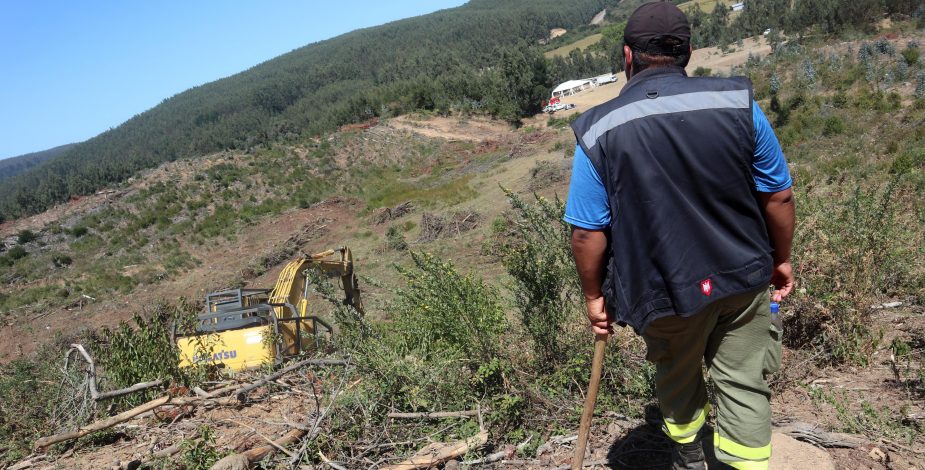 PDI pericia el cuerpo no identificado de un niño encontrado en uno de los sectores donde se busca a Tomás Bravo