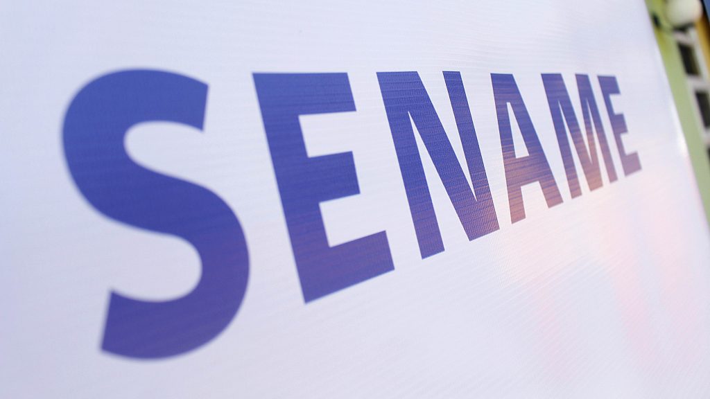 Cámara aprobó comisión investigadora por denuncias de explotación sexual en residencias del Sename