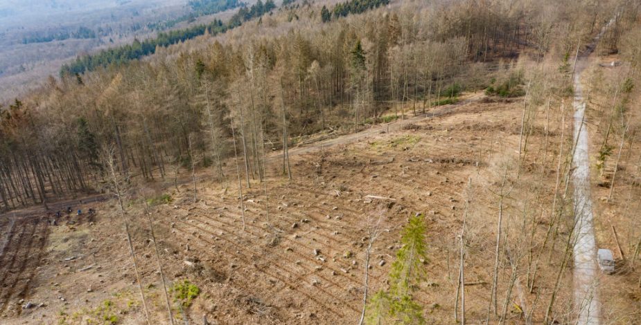 La pandemia del Covid-19 desde el punto de vista medioambiental: el análisis de Ezio Costa en Tu Nuevo ADN