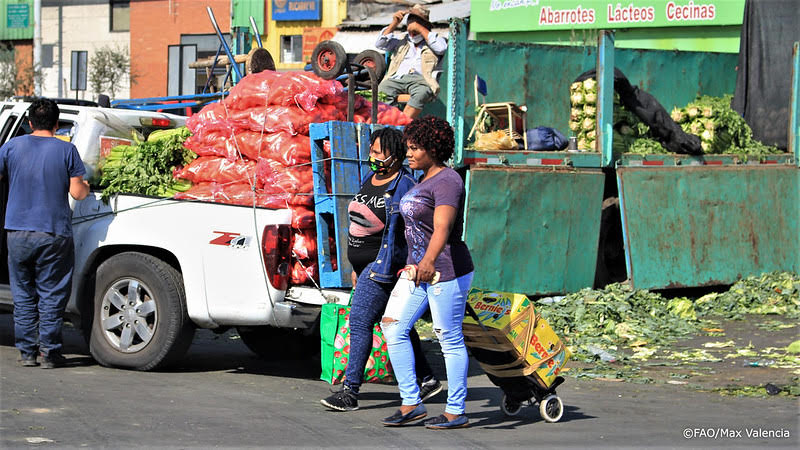 Proyecto busca recolectar alimentos descartados y en buen estado de Lo Valledor para hacer un menú solidario