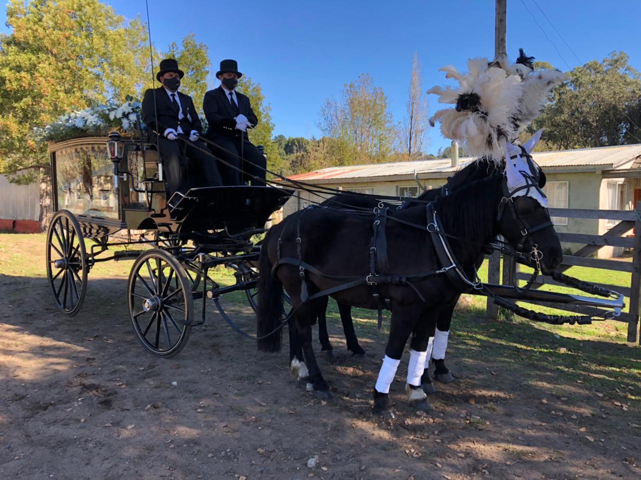 Carruaje de caballos para Tomás Bravo