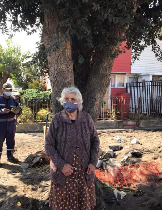 Créditos: Facebook Renaciendo Talcahuano