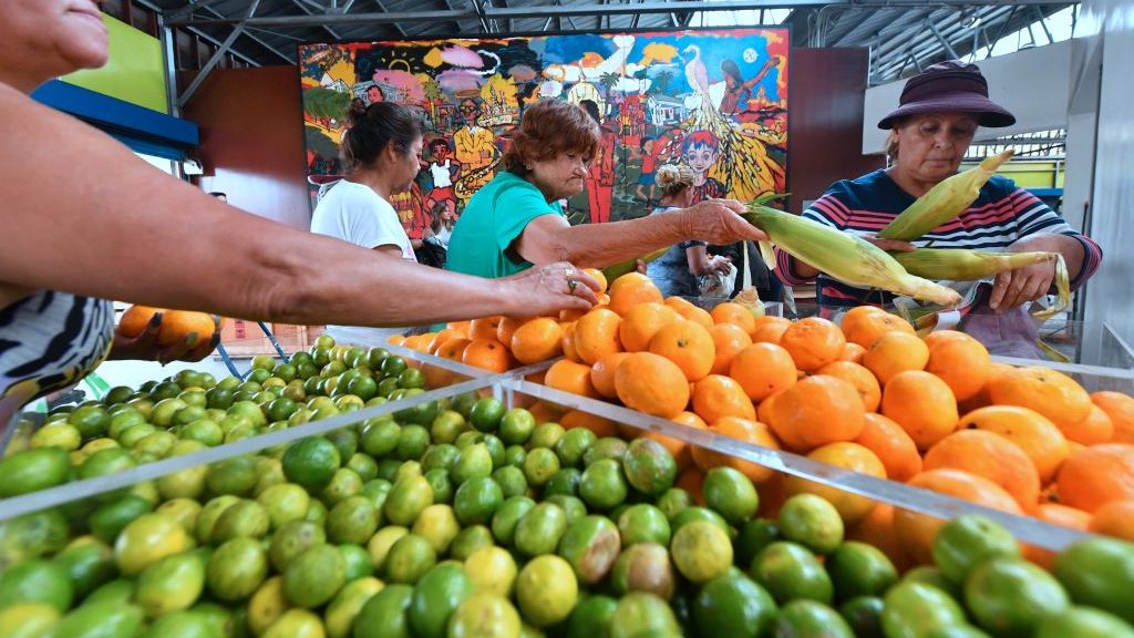 Sin costo de envío: así funciona "Pedidos Sanos", la app para comprar en ferias libres de la Región Metropolitana