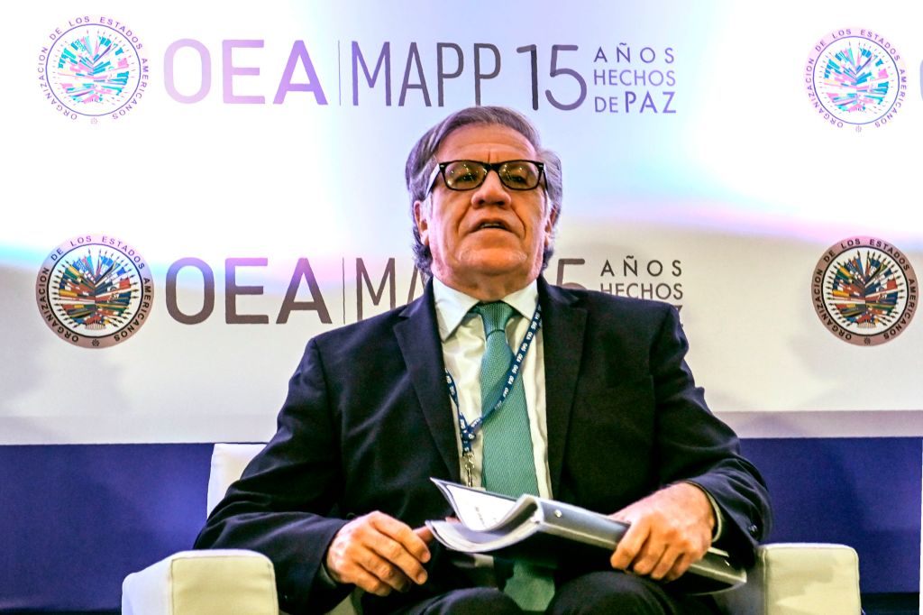 El actual titular de la OEA Luis Almagro