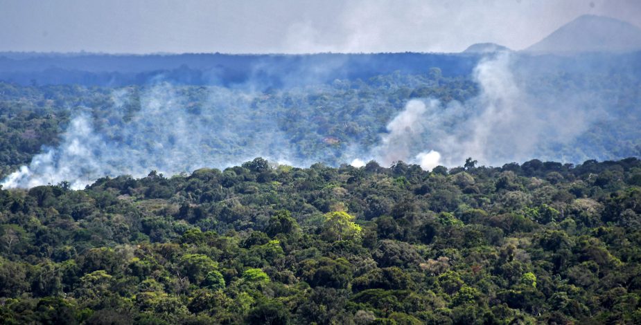 Preocupante estudio revela que la Amazonía está produciendo más CO2 del que absorbe
