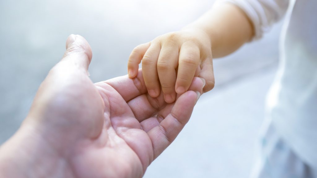 Fundación realiza colecta virtual para ayudar a la adopción en Chile