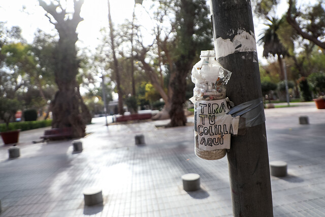 ¿En qué consiste el proyecto "Chao Colillas"?: Restos de un solo cigarrillo puede contaminar "hasta 10 litros de mar"