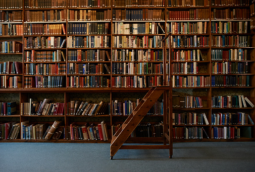 Entrelíneas: Reflexiones sobre libros y política con Pancho Mouat
