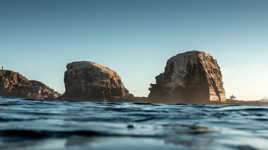 Director del campeonato de surf "Lobos Por Siempre": "Este año quisimos presentar una versión virtual"