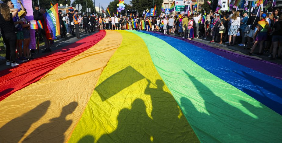 Diario Oficial publicó ley que suprime la homosexualidad como causal de divorcio culposo