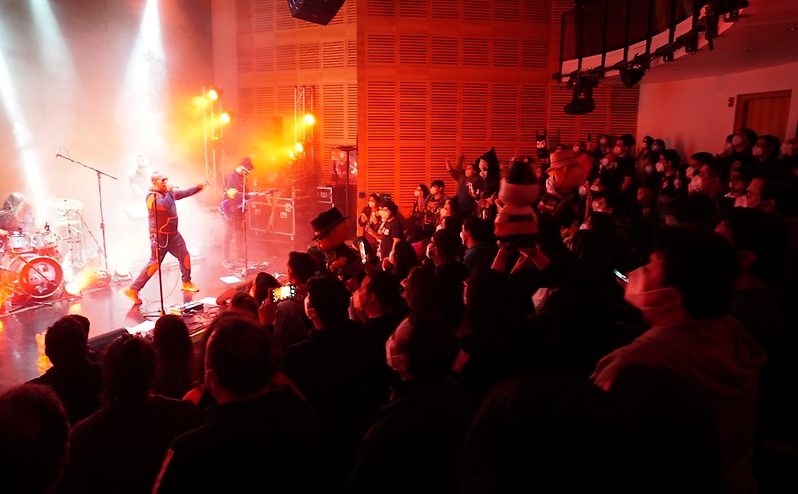 Tras 17 meses sin conciertos: Chancho en Piedra volvió a los escenarios para una investigación científica