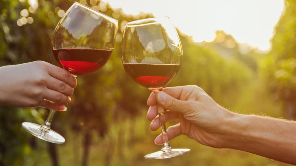 Este sábado se celebra el Día Nacional del Vino chileno