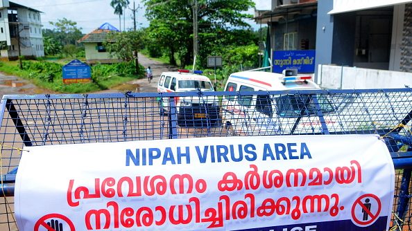 ¿Qué es el virus Nipah?: La enfermedad con potencial epidémico que alerta a la India