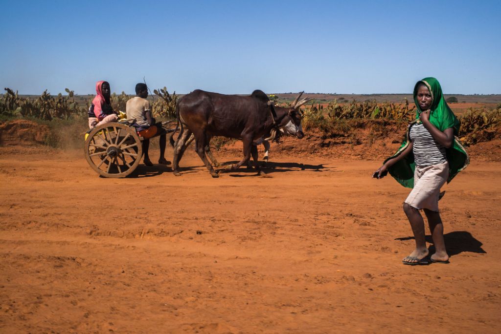 La grave sequía afecta la capacidad alimentaria de Madagascar