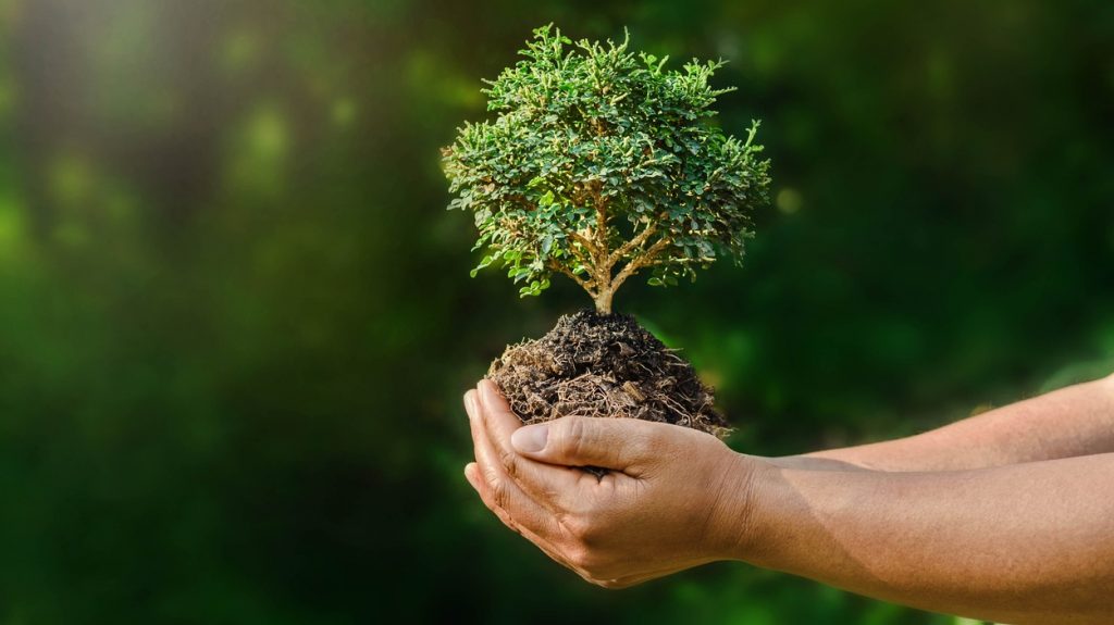 Poder Ambiental: Ezio Costa presentó la plataforma que entrega gratis asesorías legales y resuelve dudas