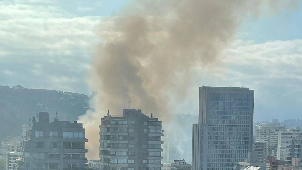 Voraz incendio destruyó local comercial en Viña del Mar