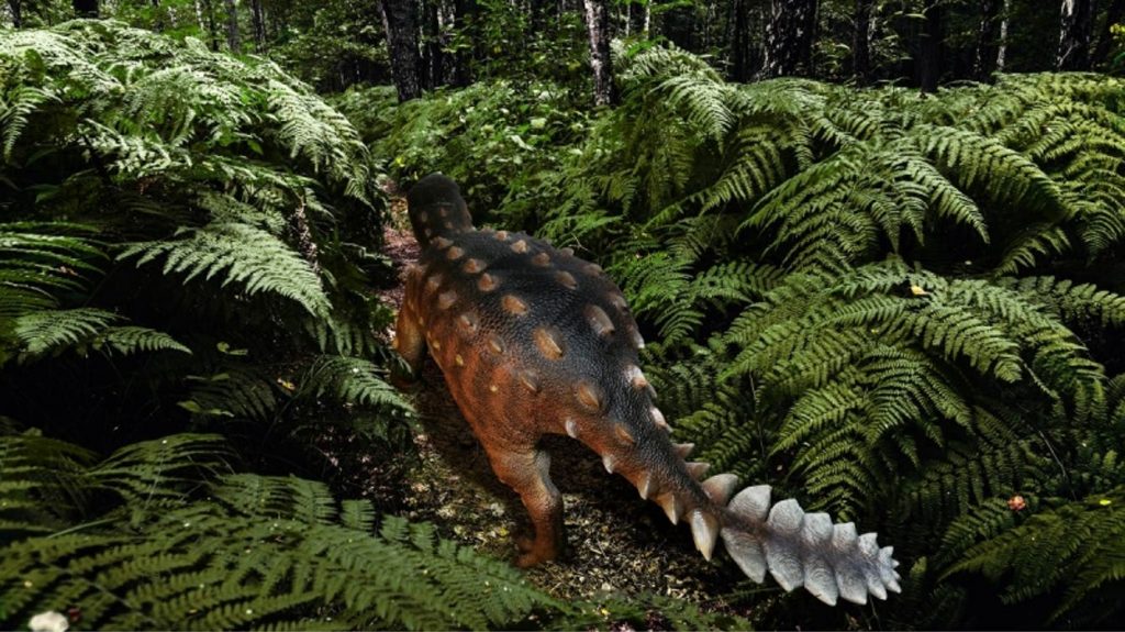 Nueva especie de dinosaurio chilena: "Es primera vez que tenemos un buen vistazo a lo que es un Anquilosaurio Sudamericano"