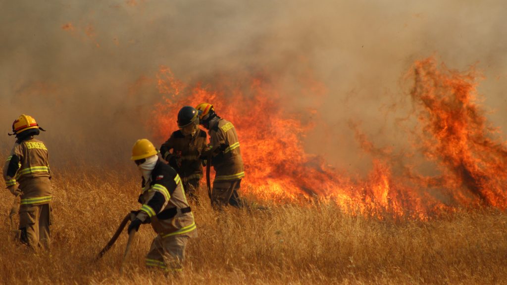 Geógrafo Alberto Alaniz analizó los incendios forestales en Chile: "Es un patrón que se ha repetido en el último tiempo"