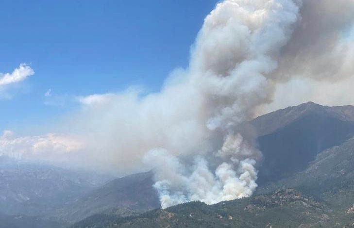 San Fernando: Onemi decretó Alerta Roja por incendio forestal en Sierras de Bellavista