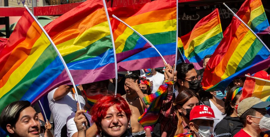 Matrimonio igualitario: Movilh e Iguales celebraron la histórica aprobación del proyecto de ley
